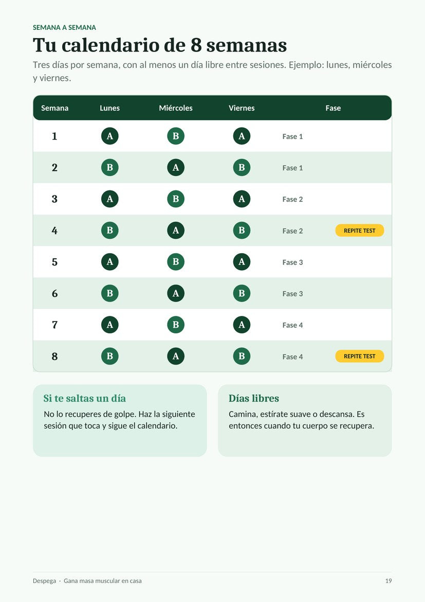 Página del ebook: tu calendario de 8 semanas
